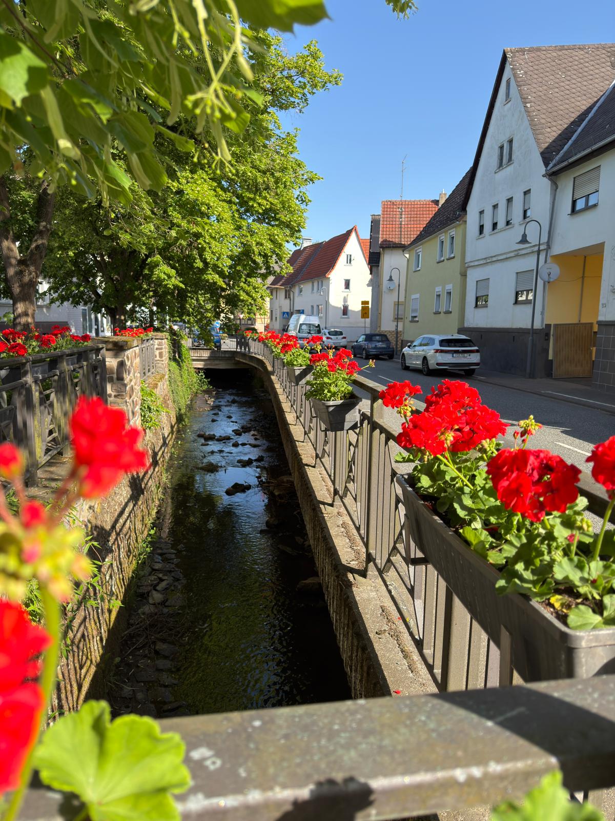 Erbach blüht!
